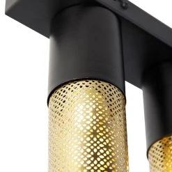 Coupon ✨ QAZQA Industrielle Deckenlampe schwarz mit Gold 2-flammig - Raspi ⌛ 16 Coupon ✨ QAZQA Industrielle Deckenlampe schwarz mit Gold 2-flammig - Raspi ⌛ -Deckenleuchten Verkaufs-Shop 1115 104458 4