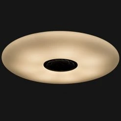 Aktion 😍 Shada Smarte Deckenleuchte weiß inkl. LED mit Lautsprecheroption - Clara 🤩 -Deckenleuchten Verkaufs-Shop 2792 105590 19