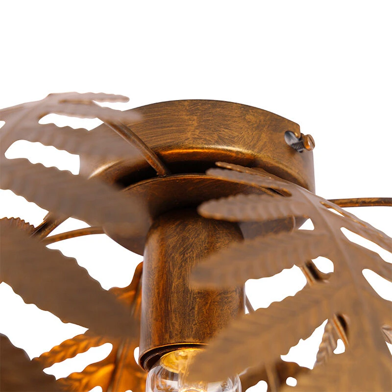 Beste Bewertungen von 🥰 QAZQA Vintage Deckenleuchte Gold 34 cm - Botanica 🔔 6 Beste Bewertungen von 🥰 QAZQA Vintage Deckenleuchte Gold 34 cm - Botanica 🔔 – Bild 6