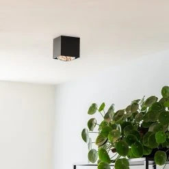 Großhandel 🌟 QAZQA Design Spot 1-flammig schwarz inkl. 1 x G9 - Box 🤩