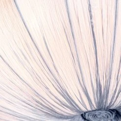 Billig 🧨 QAZQA Design-Deckenlampe graue Seide 60 cm 5-flammig - Plu 🛒 16 Billig 🧨 QAZQA Design-Deckenlampe graue Seide 60 cm 5-flammig - Plu 🛒 -Deckenleuchten Verkaufs-Shop 4071 105318 4