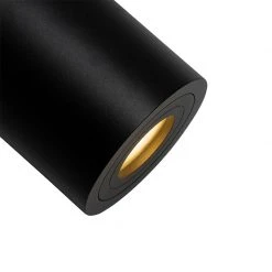 Budget 😉 QAZQA Moderner Badezimmerfleck schwarz rund IP44 - Capa 💯 -Deckenleuchten Verkaufs-Shop 4253 102873 2