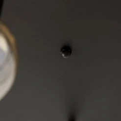 Bester Verkauf 😍 QAZQA Moderne plafondlamp zwart 5-lichts - Facil 👍 -Deckenleuchten Verkaufs-Shop 5096 105572 2