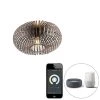 Bestes Angebot 💯 Trio Leuchten Smart ronde plafondlamp roestbruin incl. Wifi A60 - Johanna 😍