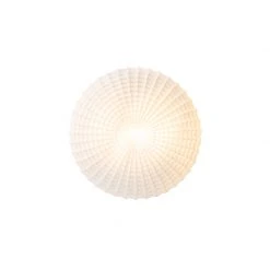 Bester Verkauf 🎁 QAZQA Klassische Deckenleuchte schwarz mit Opalglas 30 cm IP44 - Nohmi 🥰 -Deckenleuchten Verkaufs-Shop 5393 104976 6