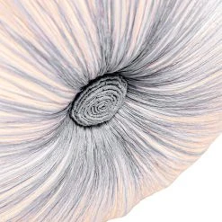 Billig 🧨 QAZQA Design-Deckenlampe graue Seide 60 cm 5-flammig - Plu 🛒 14 Billig 🧨 QAZQA Design-Deckenlampe graue Seide 60 cm 5-flammig - Plu 🛒 -Deckenleuchten Verkaufs-Shop 6481 105318 2