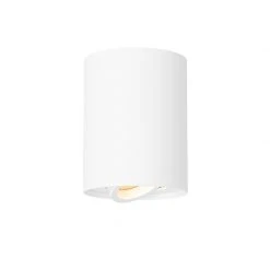 Bestpreis 🥰 QAZQA Moderner Deckenspot weiß dreh- und neigbar - Rondoo up 👍 -Deckenleuchten Verkaufs-Shop 6815 104342 8