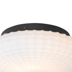 Angebote 😍 QAZQA Klassische Deckenleuchte schwarz mit Opalglas 23 cm IP44 - Nohmi 😉 -Deckenleuchten Verkaufs-Shop 6818 104974 2