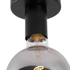 Schlussverkauf 👏 QAZQA Design Deckenleuchte schwarz mit G125 Rauchglas - Facile 🔥 -Deckenleuchten Verkaufs-Shop 8002 103600 2