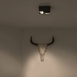 Rabatt ❤️ QAZQA Design Spot schwarz rechteckig 2-flammig - Box 🌟 23 Rabatt ❤️ QAZQA Design Spot schwarz rechteckig 2-flammig - Box 🌟 -Deckenleuchten Verkaufs-Shop 9914 104785 9